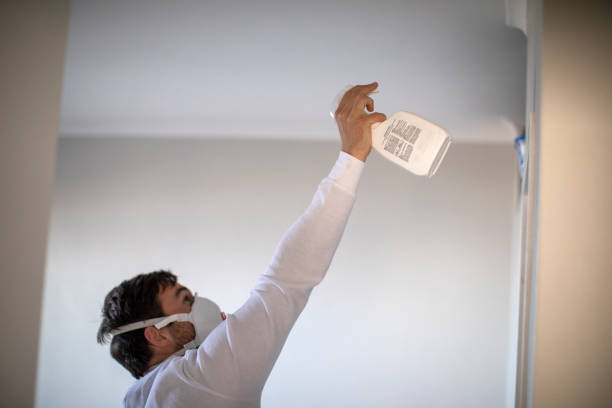 Best Attic Mold Removal  in Lorain, OH